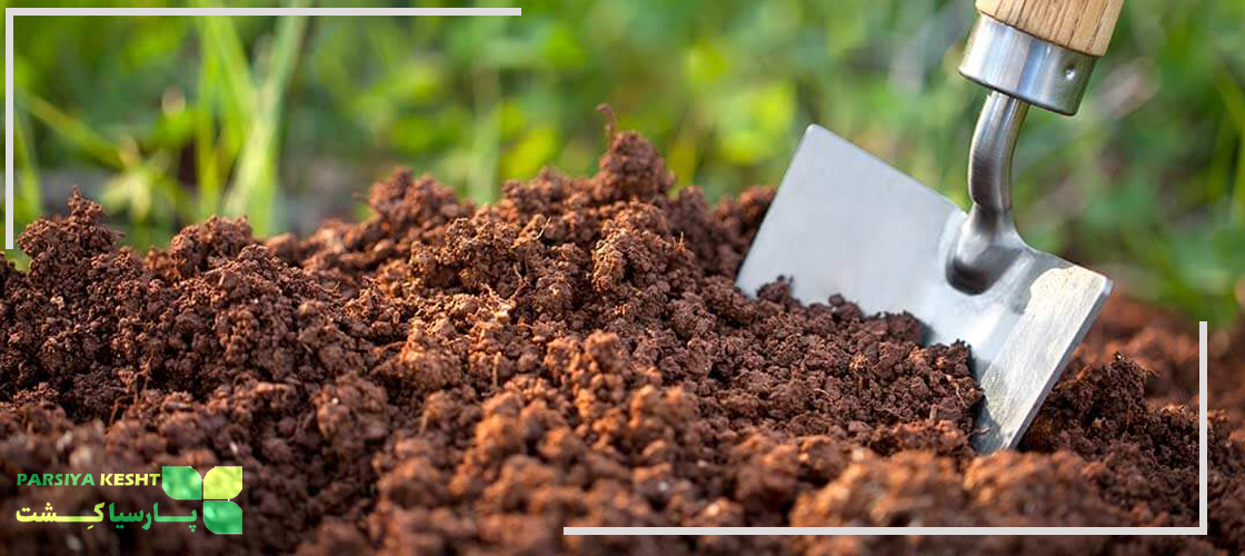 استفاده از خاک مناسب برای رشد سریع صیفی جات